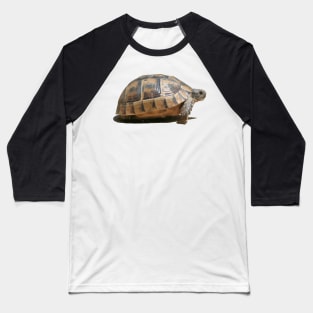 Sideview of A Walking Turkish Tortoise Isolated Baseball T-Shirt